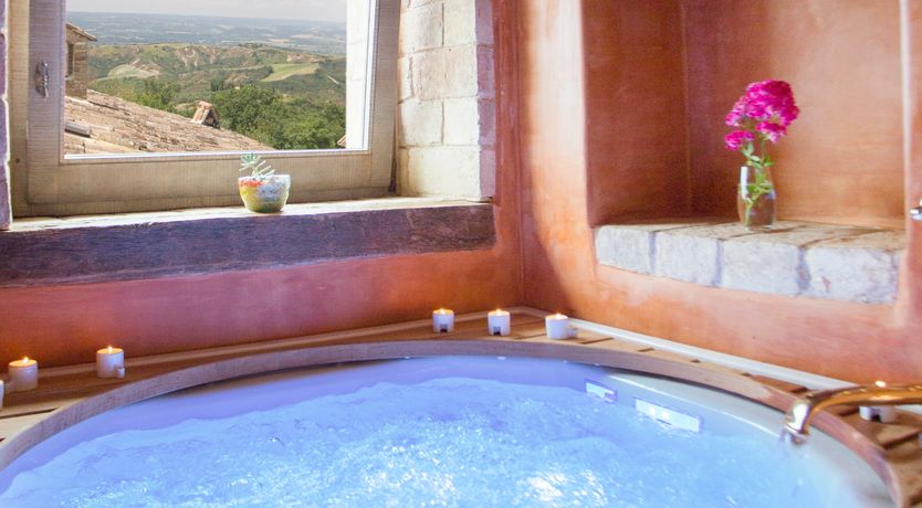 Photo of The Little Donkey