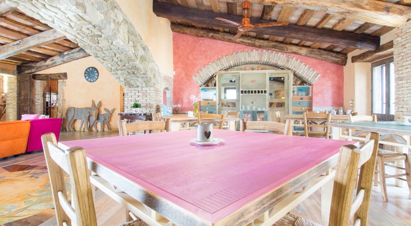 Photo of The Little Donkey