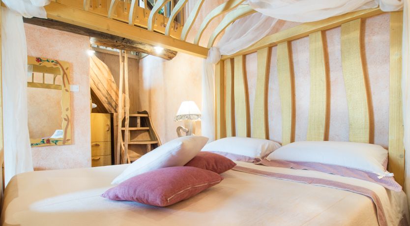 Photo of The Little Donkey