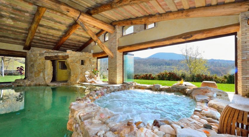 Photo of The Little Donkey