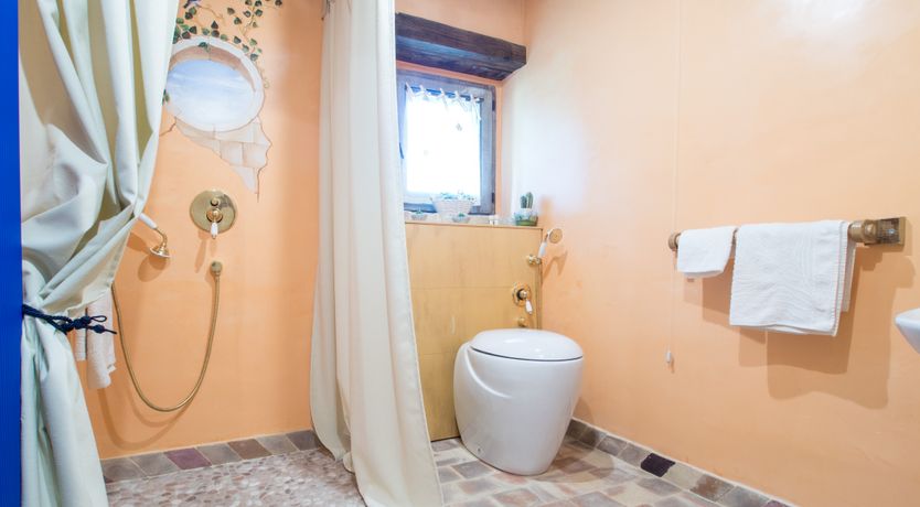 Photo of The Little Donkey