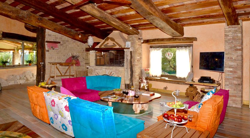 Photo of The Little Donkey