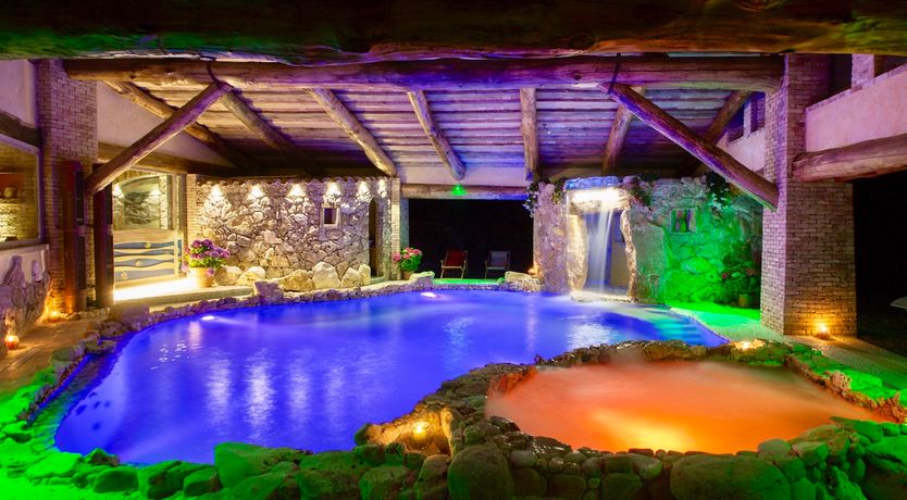 Photo of The Little Donkey