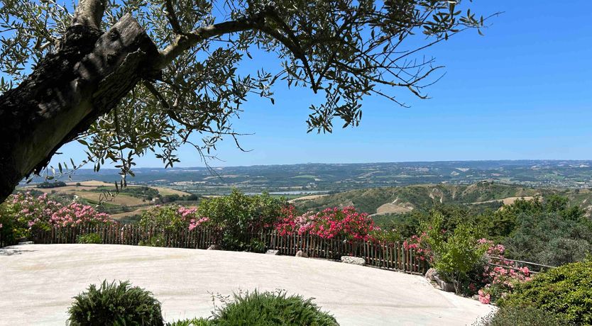 Photo of The Little Donkey