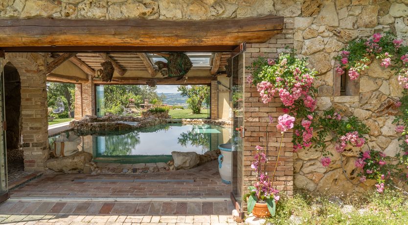 Photo of The Little Donkey