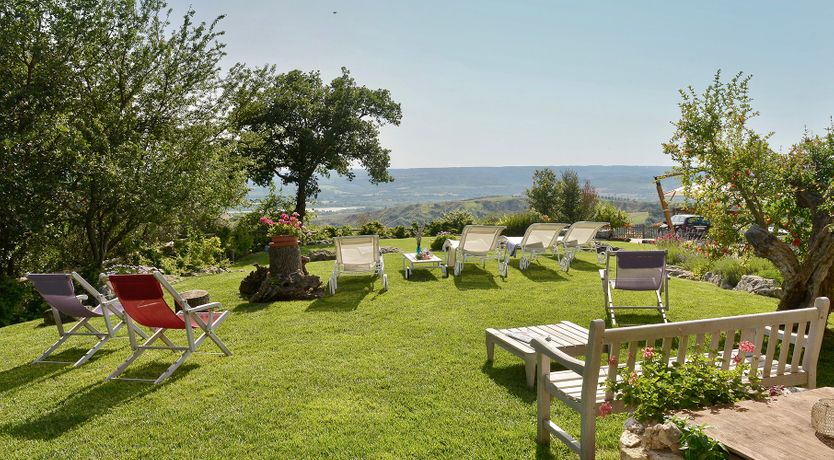 Photo of The Little Donkey