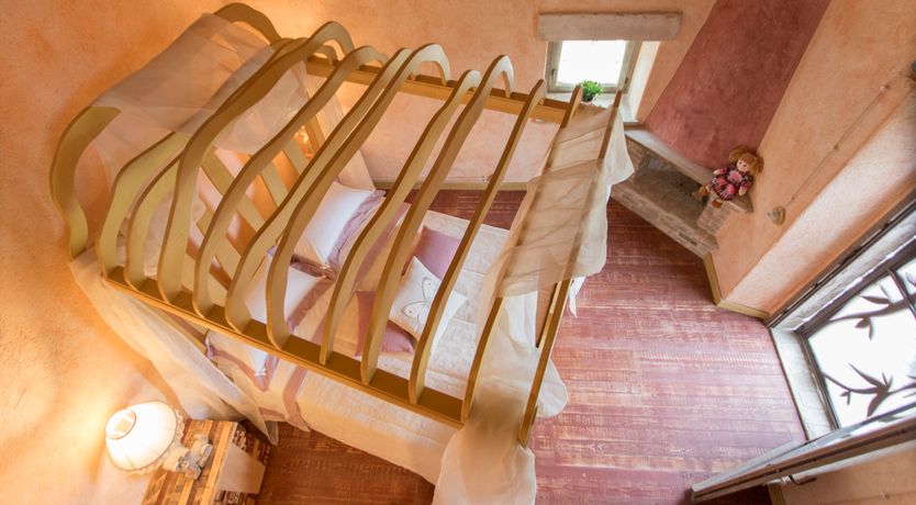 Photo of The Little Donkey