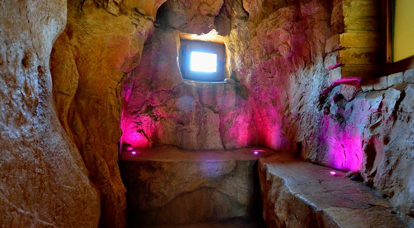 Photo of The Little Donkey