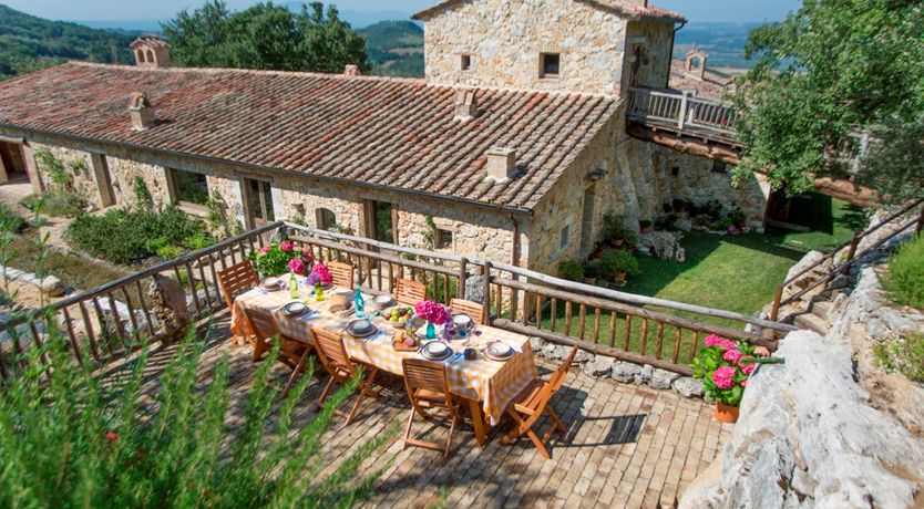 Photo of The Little Donkey