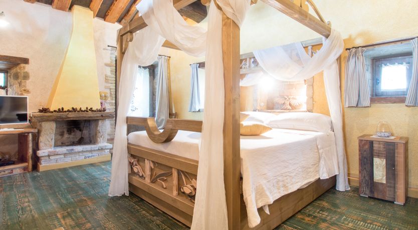 Photo of The Little Donkey