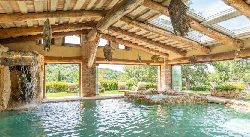 Photo of The Little Donkey