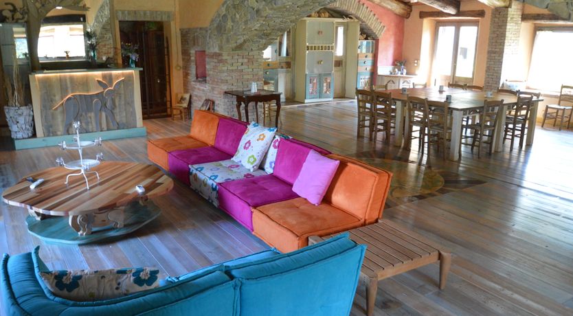 Photo of The Little Donkey