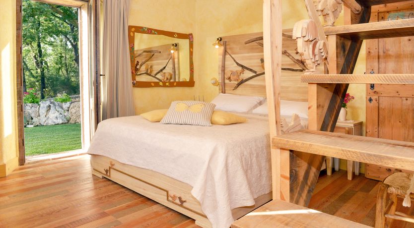 Photo of The Little Donkey