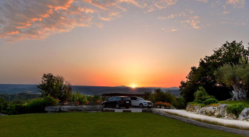 Photo of The Little Donkey