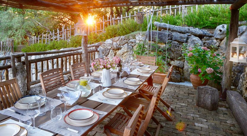 Photo of The Little Donkey