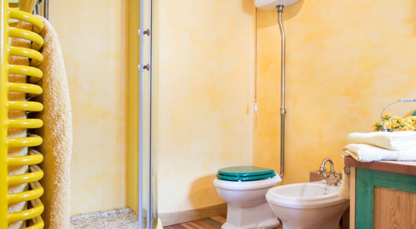 Photo of The Little Donkey