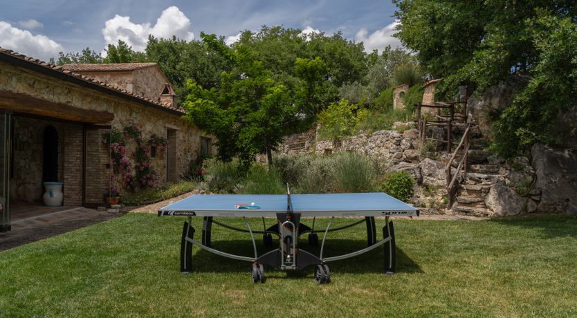 Photo of The Little Donkey