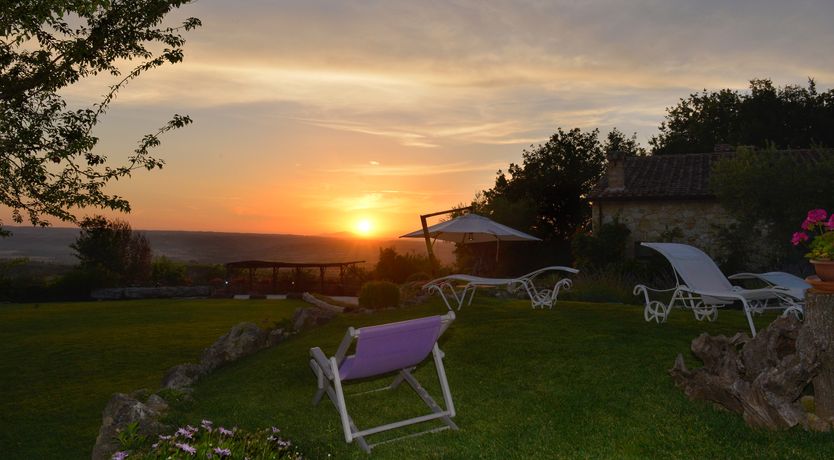 Photo of The Little Donkey