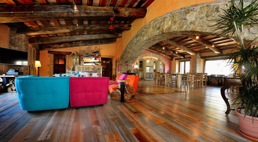 Photo of The Little Donkey