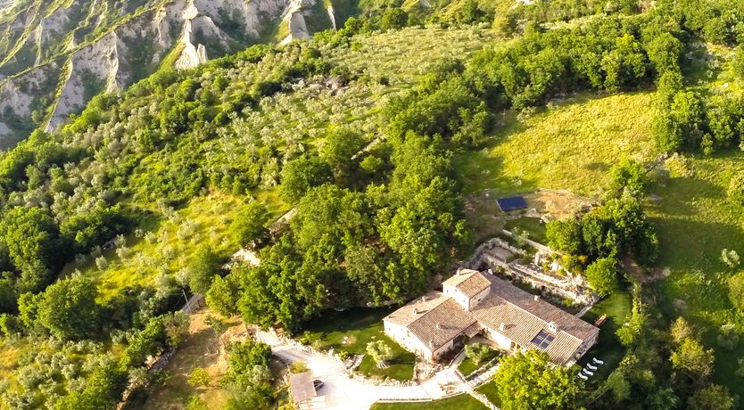 Photo of The Little Donkey