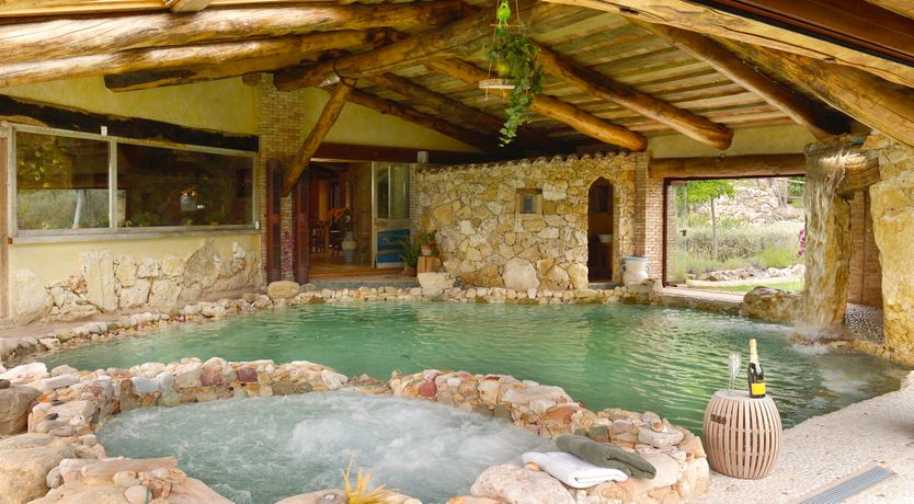 Photo of The Little Donkey