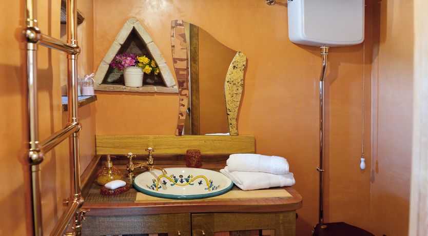 Photo of The Little Donkey