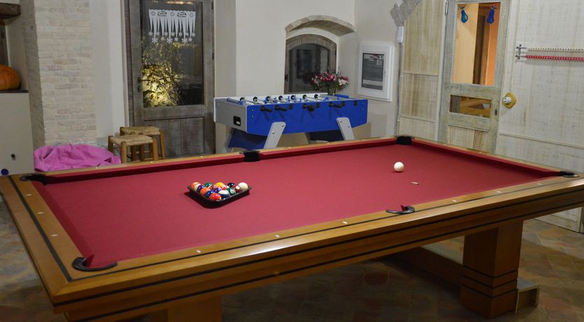 Photo of The Little Donkey