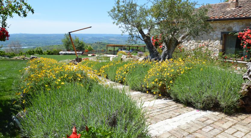 Photo of The Little Donkey