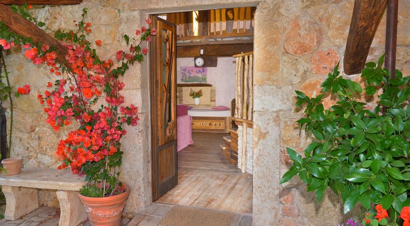 Photo of The Little Donkey