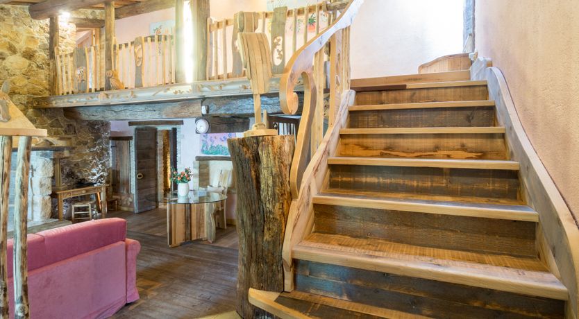 Photo of The Little Donkey