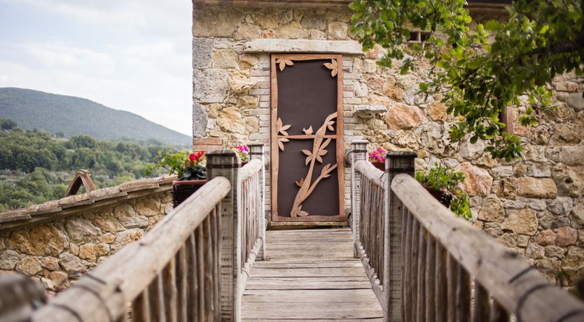 Photo of The Little Donkey