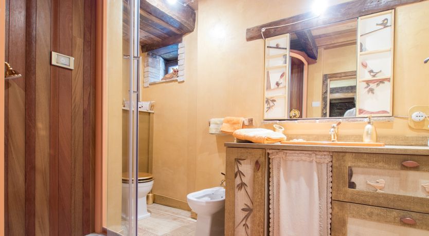 Photo of The Little Donkey