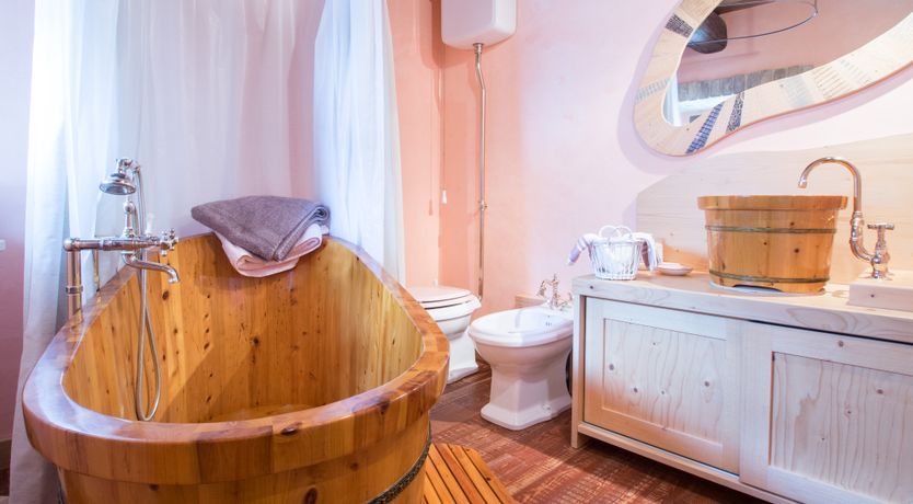 Photo of The Little Donkey