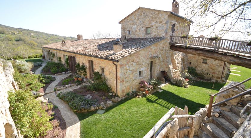 Photo of The Little Donkey