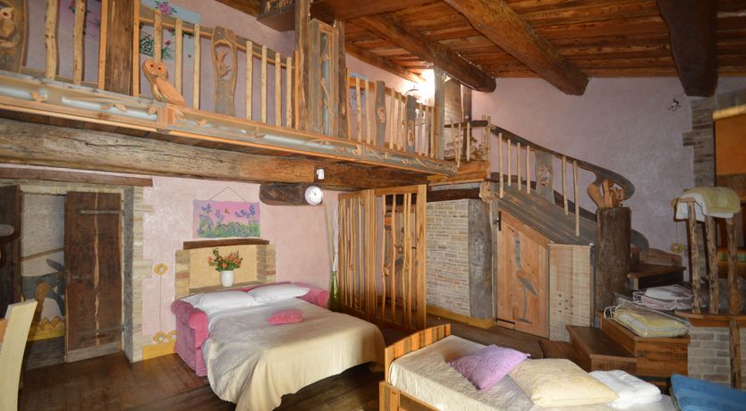 Photo of The Little Donkey