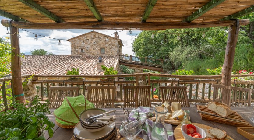 Photo of The Little Donkey