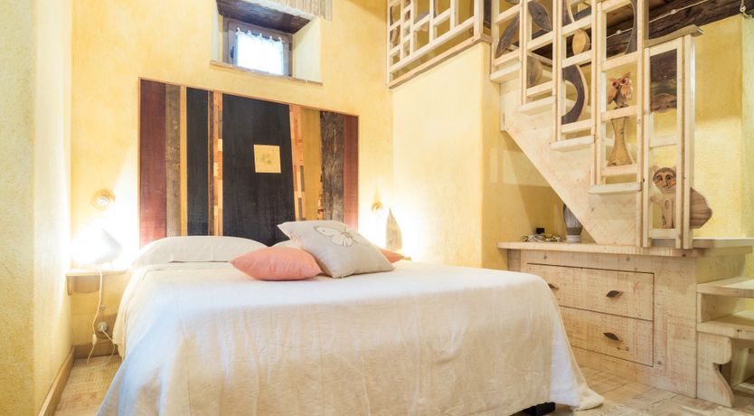 Photo of The Little Donkey