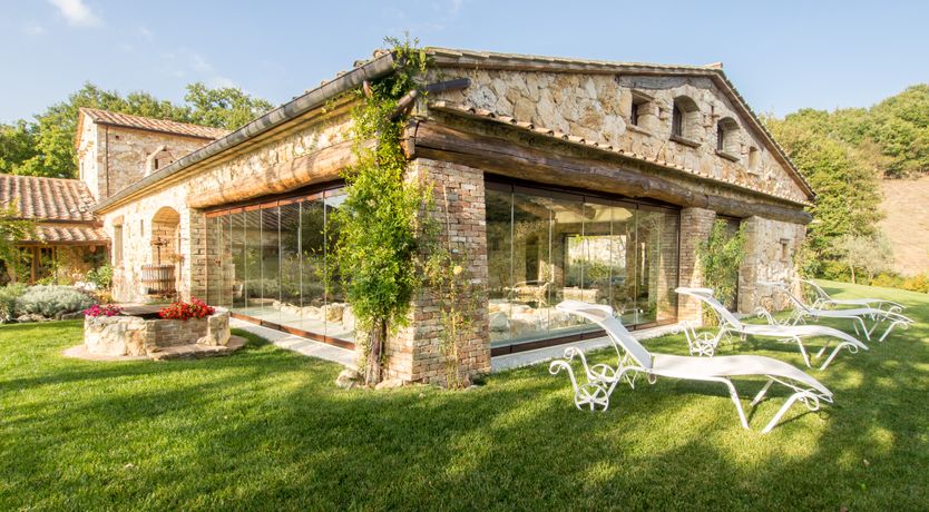 Photo of The Little Donkey