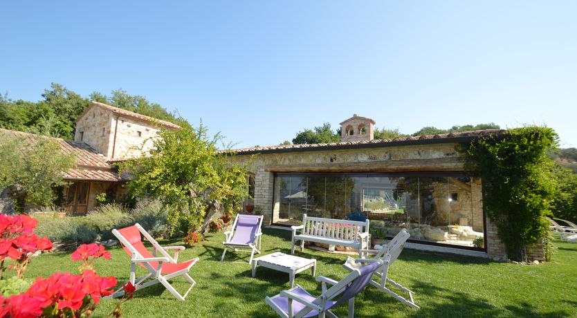 Photo of The Little Donkey