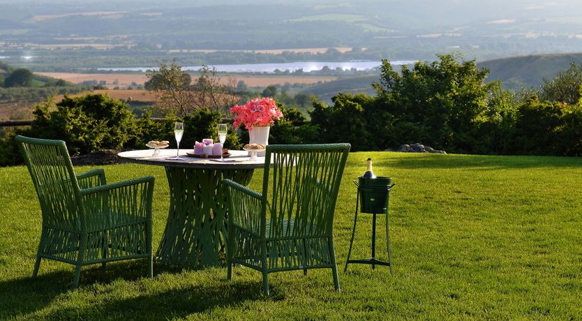 Photo of The Little Donkey