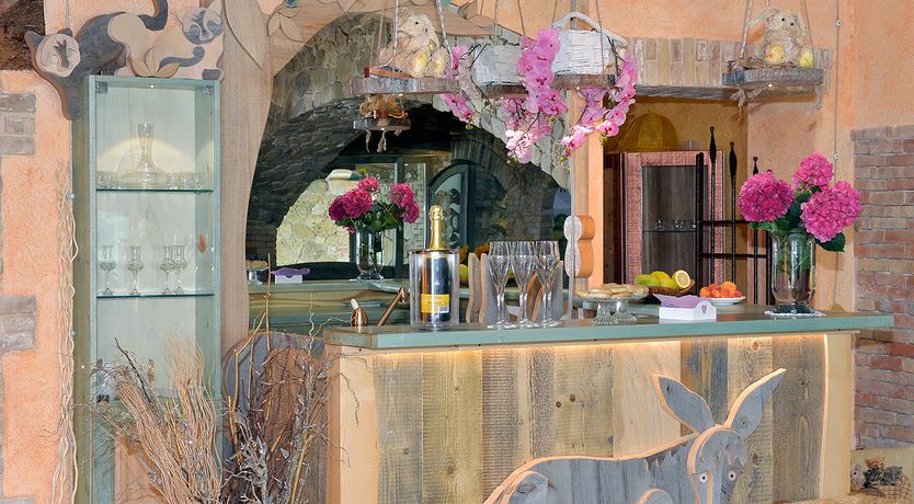 Photo of The Little Donkey