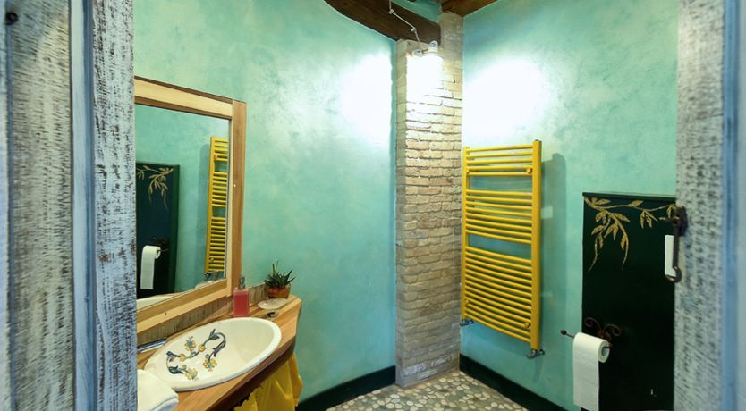 Photo of The Little Donkey