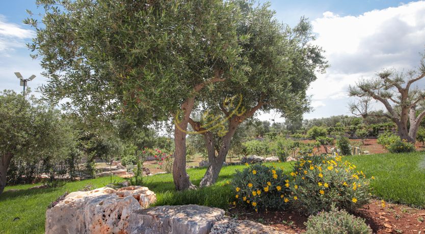 Photo of Coastal Secret