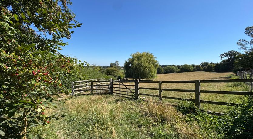 Photo of A Quiet Haven