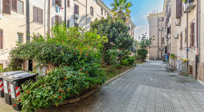 Photo of Cinder & Amber