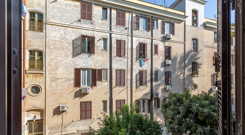 Photo of Cinder & Amber