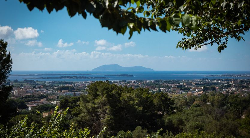 Photo of Crimson Sky