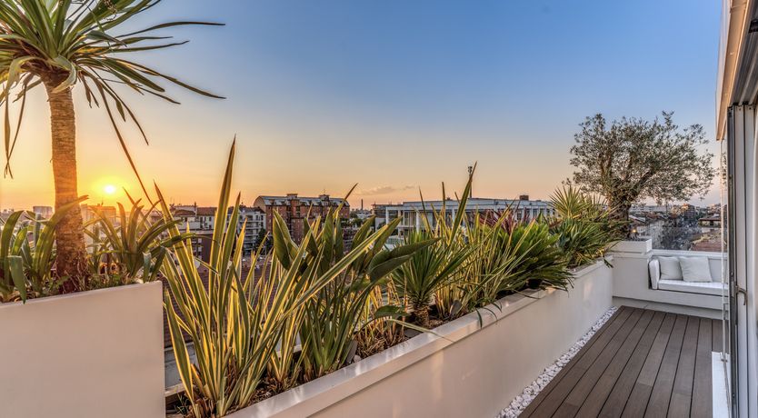 Photo of The Modern Path