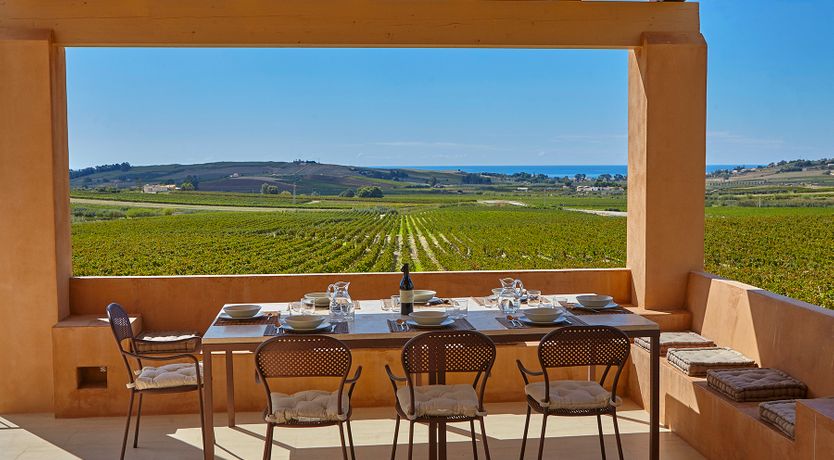 Photo of Sunset Over Vineyards