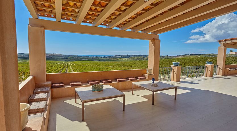 Photo of Sunset Over Vineyards